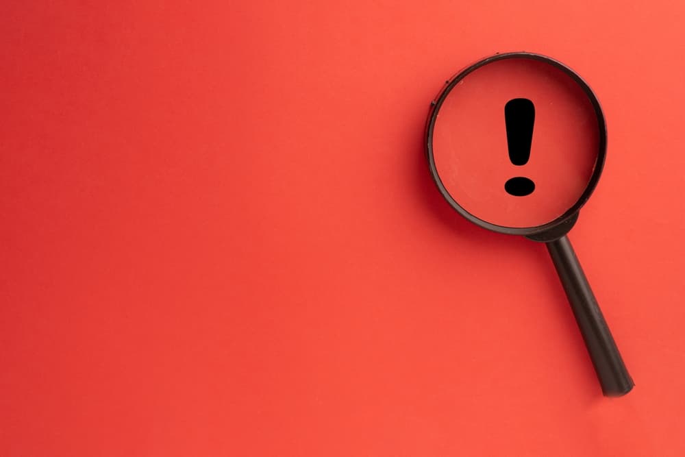 豚の屠殺詐欺には要注意