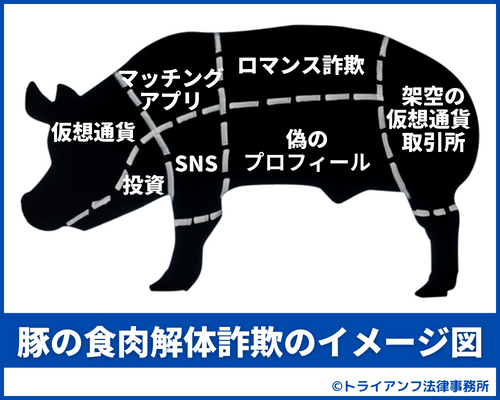豚の食肉解体詐欺のイメージ図