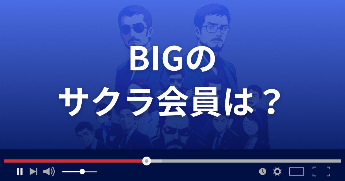 支援サイト ビッグのサクラ会員情報
